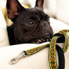 LAISSE DE CHIEN